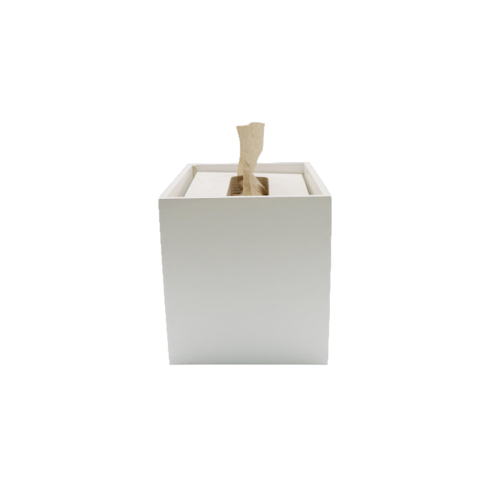 Serviet dispenser